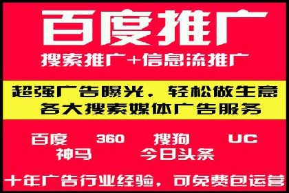 揭秘百度竞价排名：实战案例解析